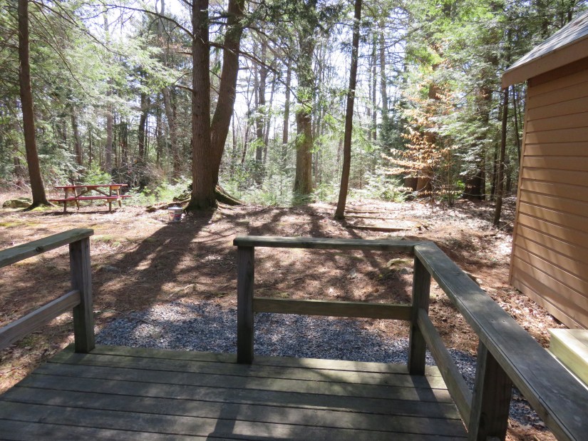 Picture of our pet friendly rooms with one queen bed. Rooms have private back porch leading onto our trail.