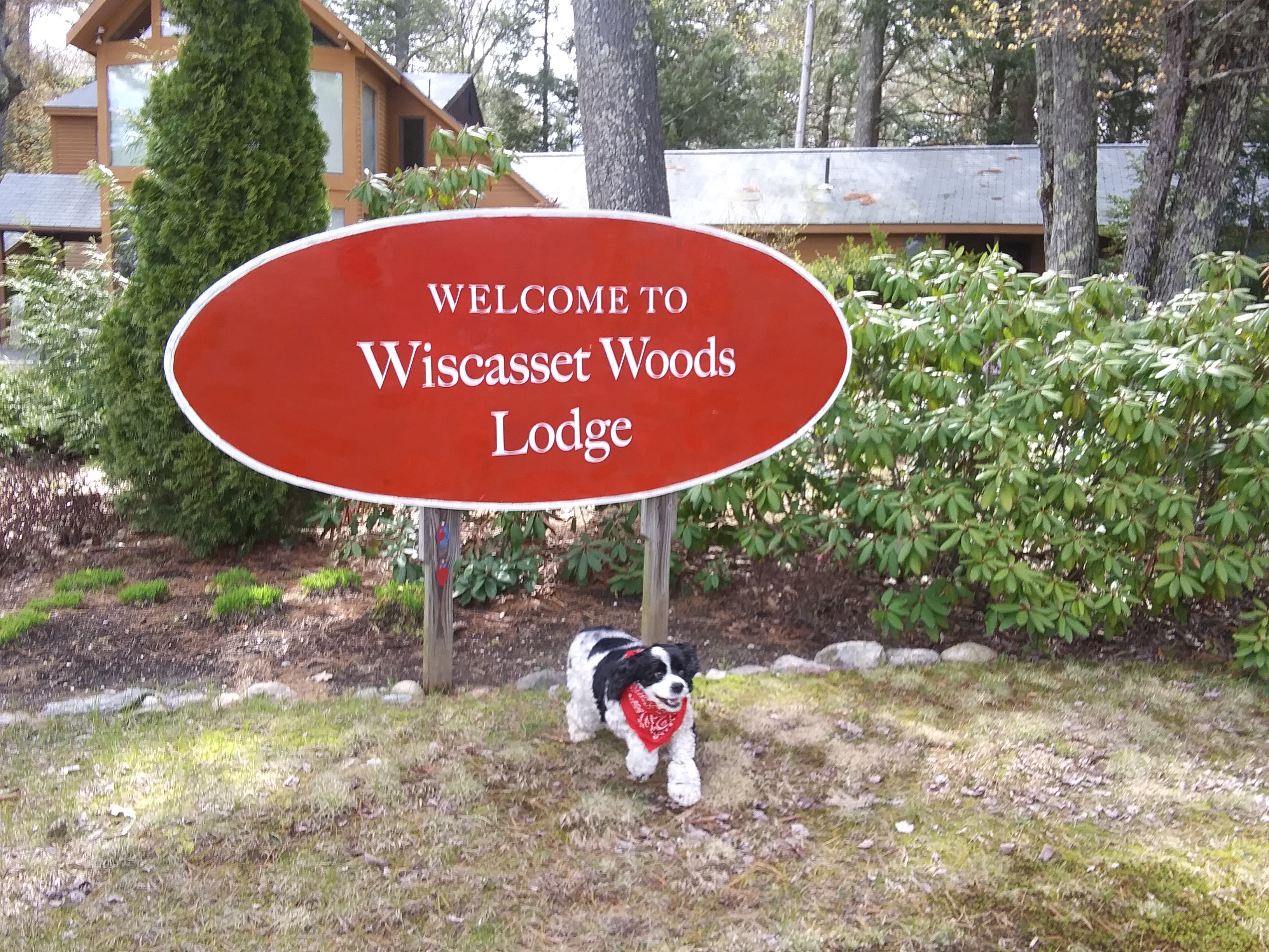 Wiscasset Woods Lodge is a pet friendly hotel.