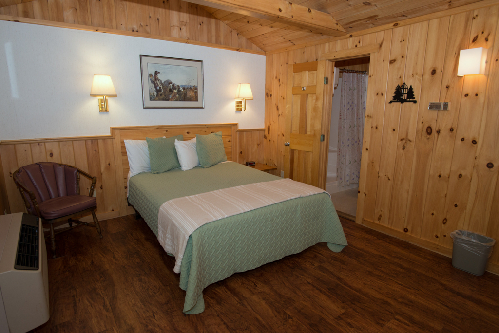 pet friendly room