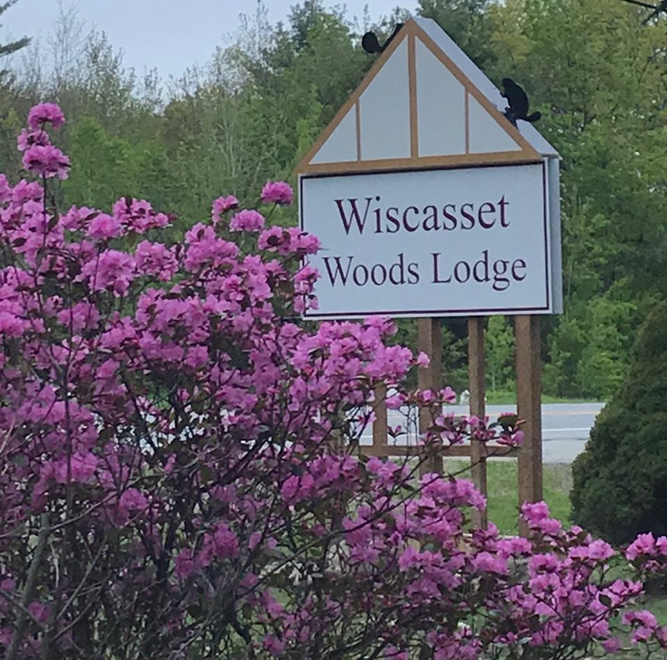 Wiscasset Woods